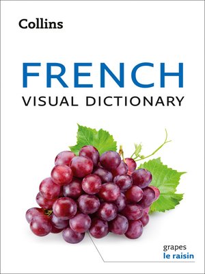 cover image of French Visual Dictionary